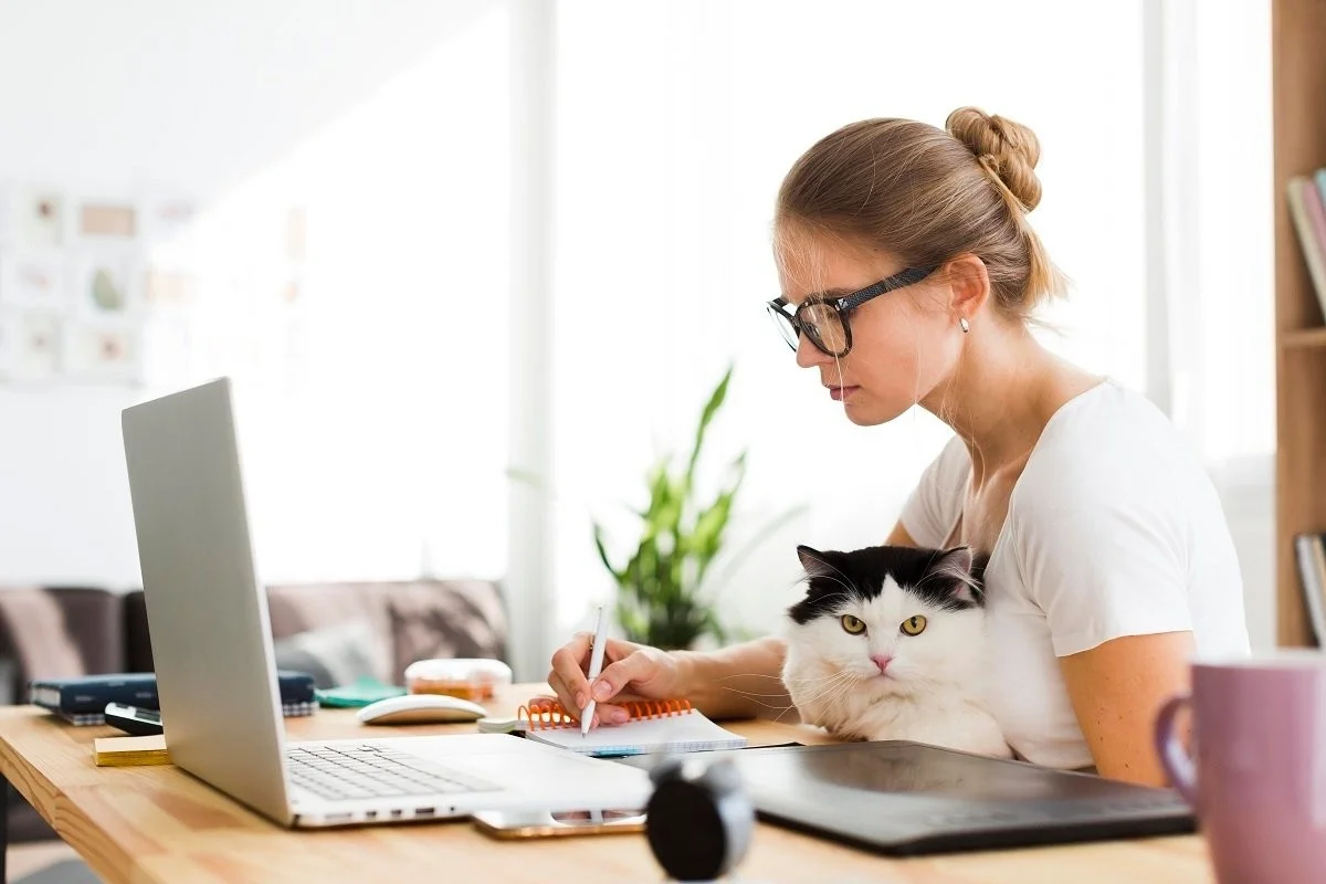 девушка в очках работает за столом кот сидит на коленях