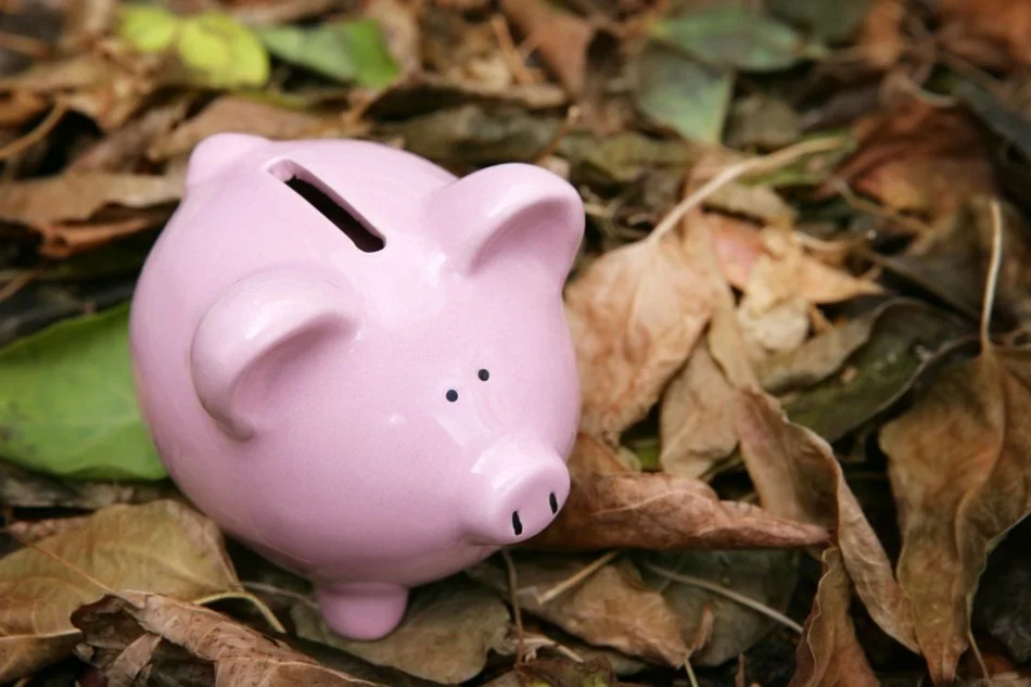 фарфоровая фигурка розового поросенка на осенней листве