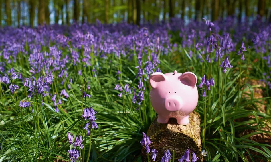 фарфоровая фигурка розового поросенка на природе на фоне сиреневых цветов