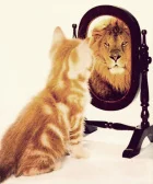 у кошки в зеркале отражается лев