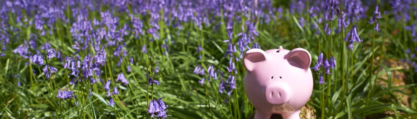 игрушка в виде розового поросенка в поле с сиреневыми цветами