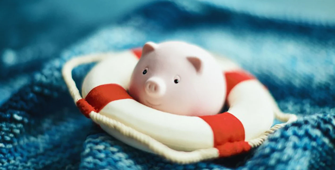 игрушка в виде поросенка в спасательном круге