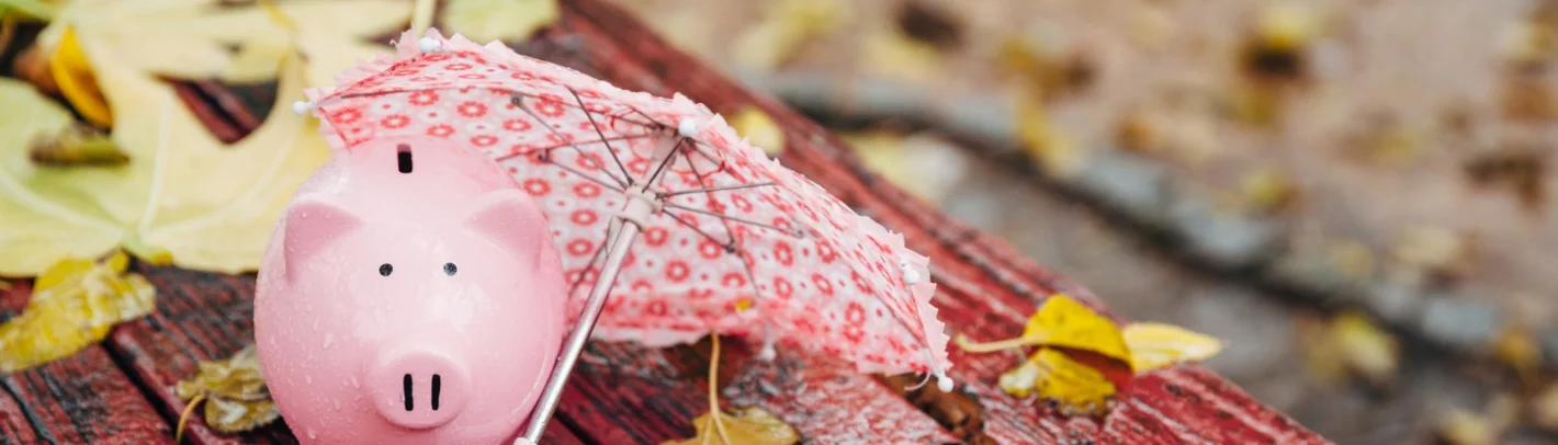 игрушка в виде поросенка под зонтиком в осеннем пейзаже