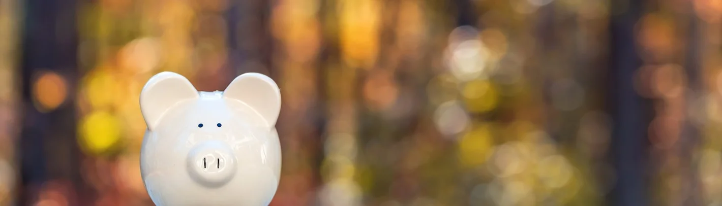 игрушка в виде белого фарфорового поросенка