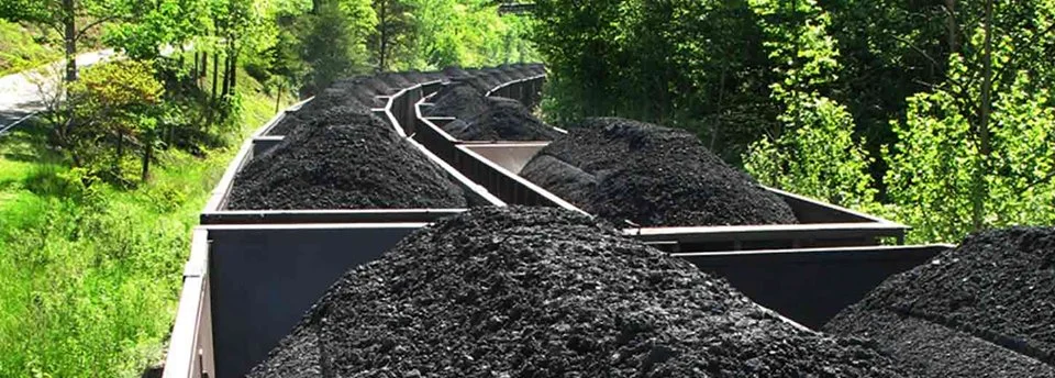 Вагоны с углем на фоне растений и дороги